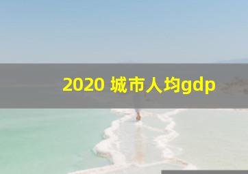 2020 城市人均gdp